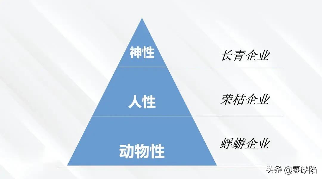 動(dòng)物性